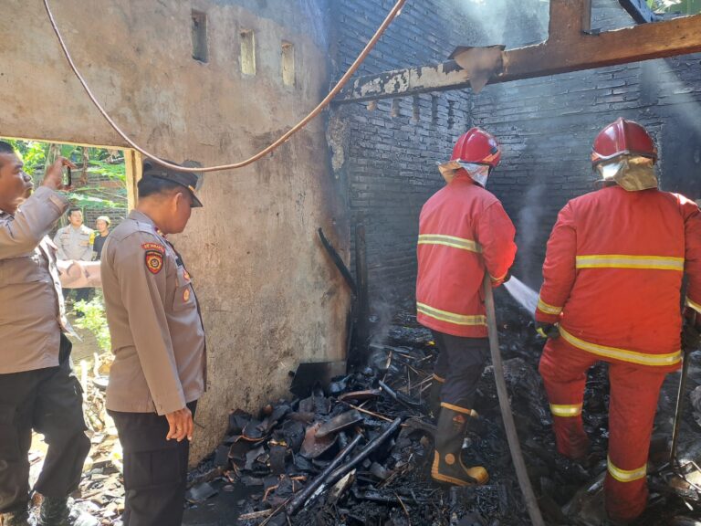 WhatsApp Image 2024-06-06 at 13.49.40