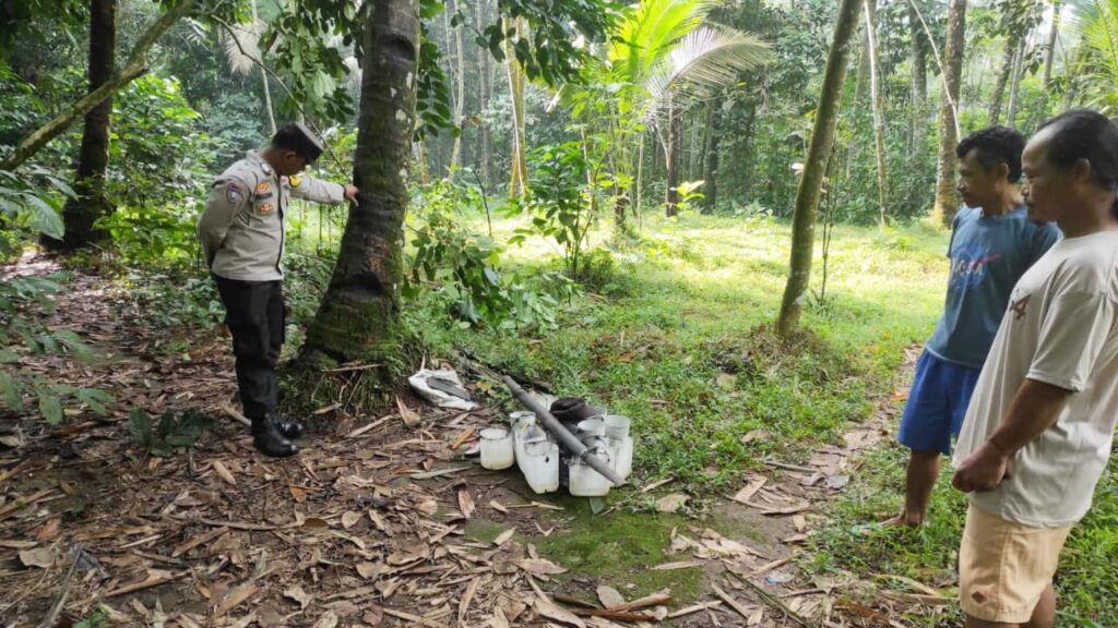 Jatuh dari Pohon Kelapa