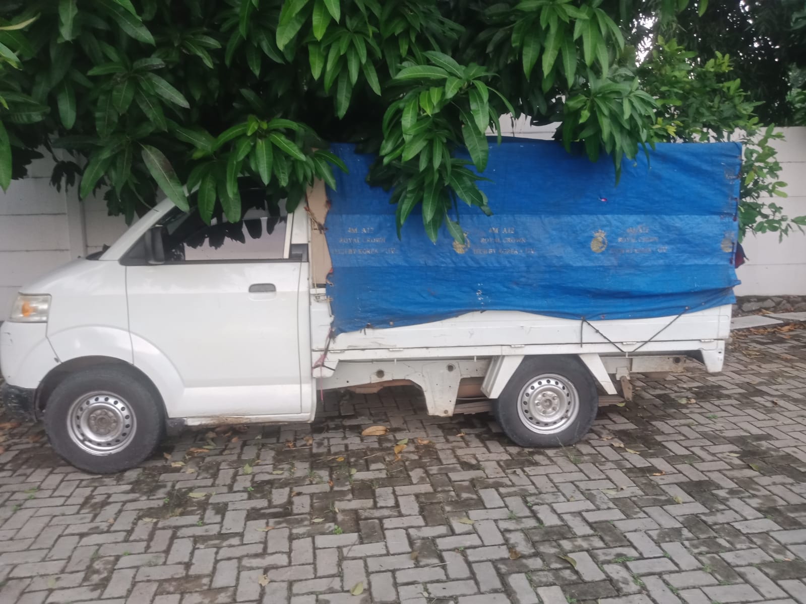 IMG-20250731-WA0005
