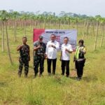 IMG-20260401-WA0015(1)