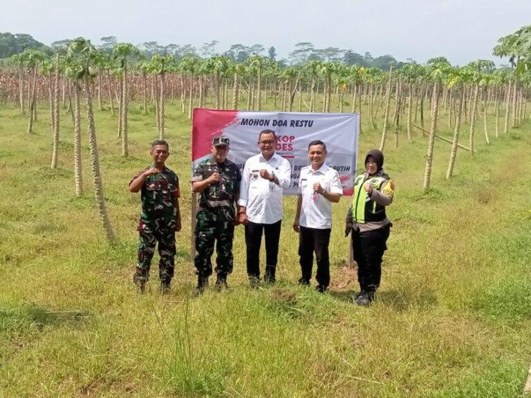 IMG-20260401-WA0015(1)