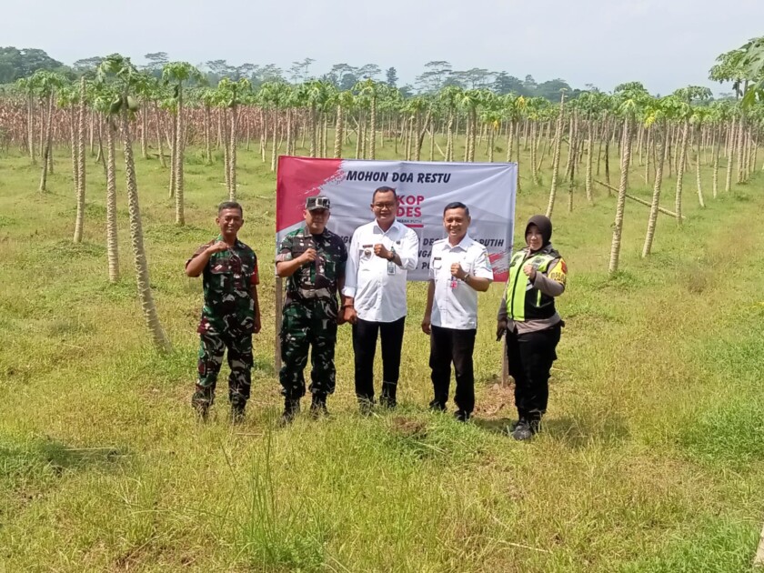 IMG-20260401-WA0015(1)