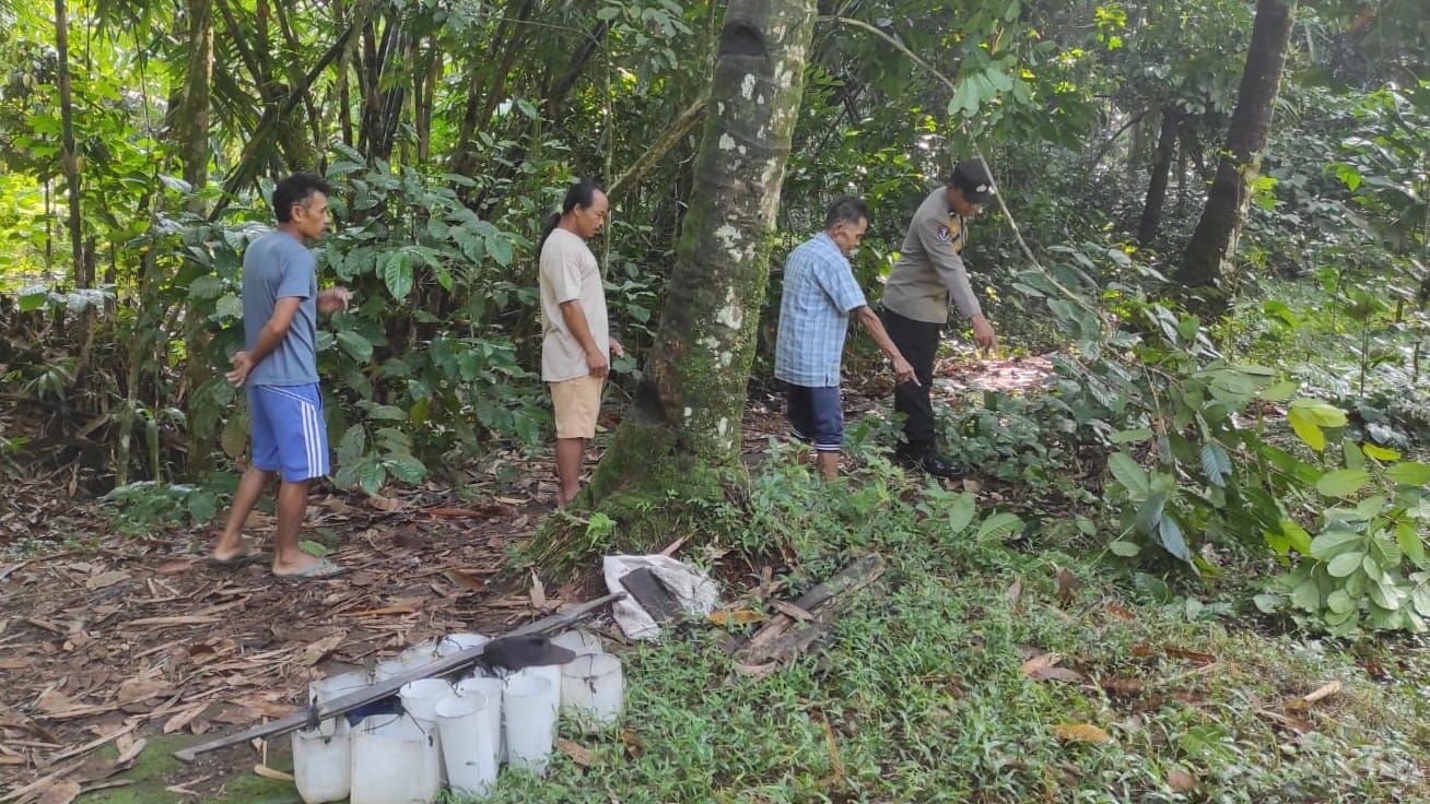 Jatuh dari Pohon Kelapa